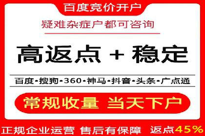 某行业巨头如何利用百度推广服务费提升业绩